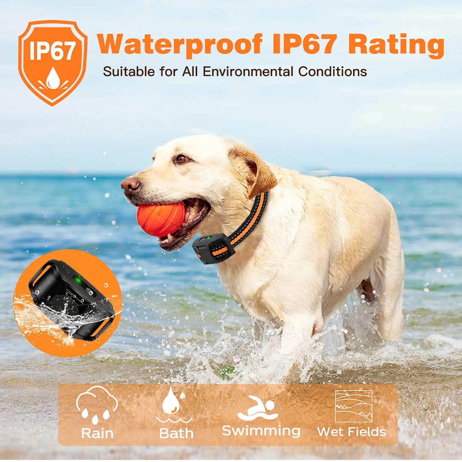 Ultimate Dog Training Collar