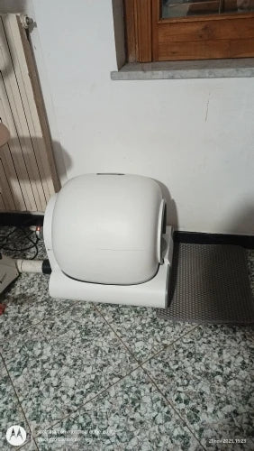 Ad1032416c7bf4f56b0f2bac29ad7dc34l.jpg